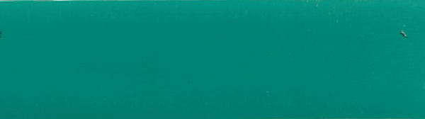 Jurassic Green 12001